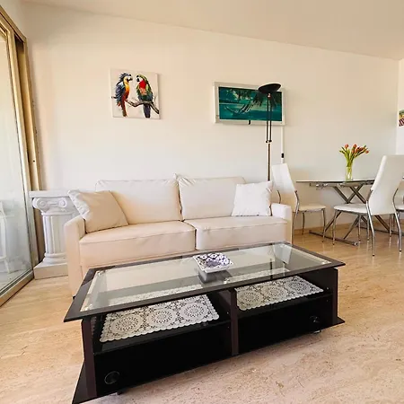 Marina Baie Des Anges - - *